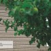 Сайдинг Ю-Пласт TIMBERBLOCK Пихта (Тимберблок) Cахалинская купить в Шахтах