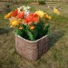 Цветник КАНЬОН купить в Шахтах
